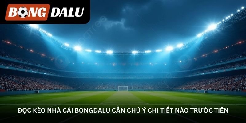 doc-keo-nha-cai-bongdalu-can-chu-y-chi-tiet-nao-truoc-tien