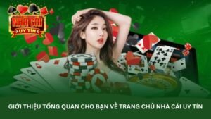 gioi-thieu-tong-quan-cho-ban-ve-trang-chu-nha-cai-uy-tin