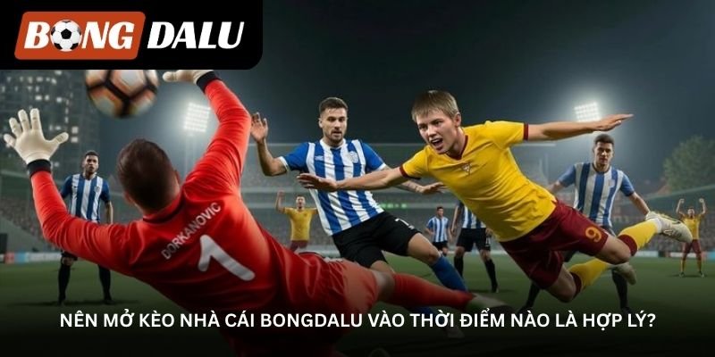 nen-mo-keo-nha-cai-bongdalu-vao-thoi-diem-nao-la-hop-ly