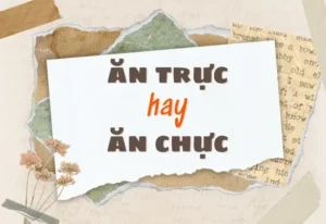 Ăn Chực: Từ Nào Đúng? Ý Nghĩa Toàn Diện Và Cách Dùng Chuẩn