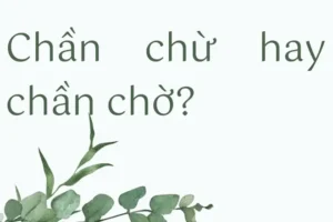 Chần Chừ Và Chần Chờ: Phân Biệt Và Cách Dùng Đúng