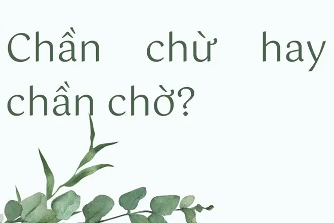 Chần Chừ Và Chần Chờ: Phân Biệt Và Cách Dùng Đúng Chần Chừ Và Chần Chờ: Phân Biệt Và Cách Dùng Đúng