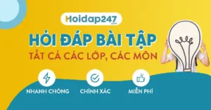 Chân Quý Hay Trân Quý? Top 10 Đá Quý Đáng Sở Hữu