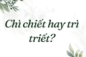 Chiết Xuất Chì Hay Trì Trệ Triết Lý: So Sánh Và Đánh Giá