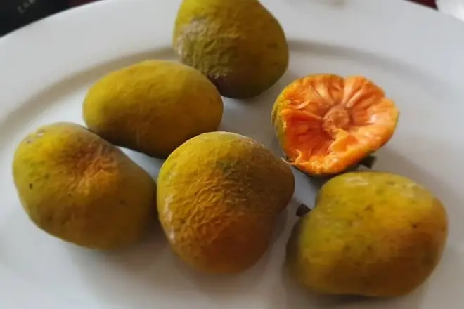 Chín Chắn Hay Chính Chắn: Phân Biệt & Hướng Dẫn Dùng Đúng Chín Chắn Hay Chính Chắn: Phân Biệt & Hướng Dẫn Dùng Đúng