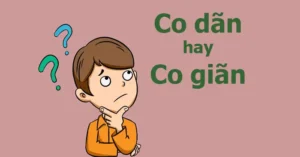 Co Giãn Hay Co Dãn: Tổng Hợp Ứng Dụng Trong Đời Sống Và Khoa Học