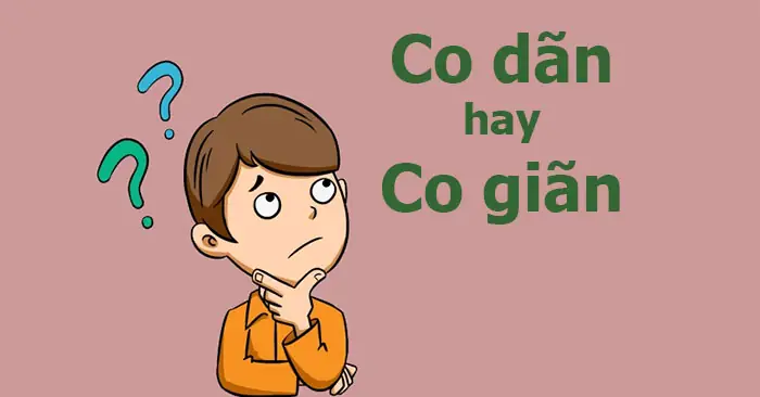 Co Giãn Hay Co Dãn: Tổng Hợp Ứng Dụng Trong Đời Sống Và Khoa Học