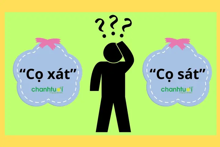 Cọ Xát Hay Cọ Sát: Đâu Là Dụng Cụ Làm Sạch Tối Ưu Cho Bạn?