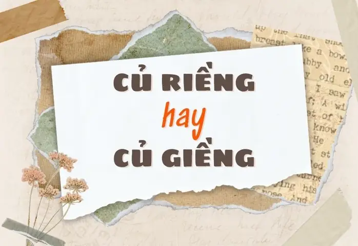 Củ Riềng Là Gì? Công Dụng, Cách Dùng Và Phân Biệt Với Củ Giềng Củ Riềng Là Gì? Công Dụng, Cách Dùng Và Phân Biệt Với Củ Giềng