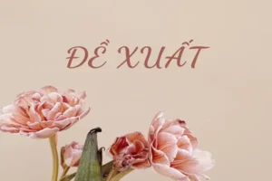 Đề Xuất Hay Đề Suất: Phân Tích Chi Tiết Sự Khác Biệt Và Ứng Dụng Thực Tế