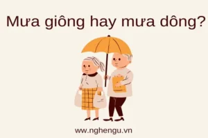 Dông Bão Hay Giông Bão: Top 5 Ứng Dụng Dự Báo Thời Tiết Chính Xác Nhất