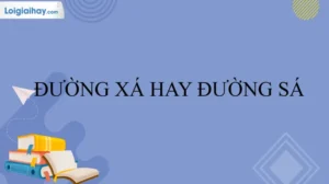 Đường Xá Hay Đường Sá: Phân Biệt Rõ Ràng Và Dùng Đúng Ngữ Cảnh