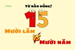 Mười Lăm Hay Mười Năm? Bí Quyết Đọc Số 5 Chuẩn Mọi Ngữ Cảnh