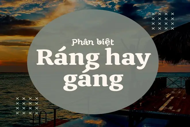 Ráng Hay Gáng? Top 5 Điện Thoại Màn Hình Tốt Nhất 2026