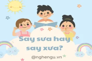 Say Sưa Hay Say Xưa Nên Dùng Ứng Dụng Nghe Nhạc Nào?