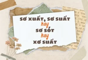 Sơ Xuất Hay Xơ Suất: Phân Biệt, Triệu Chứng Và Điều Trị