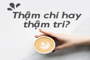 Thậm Chí Hay Thậm Trí: Phân Tích Chi Tiết Sự Khác Biệt Và Cách Dùng