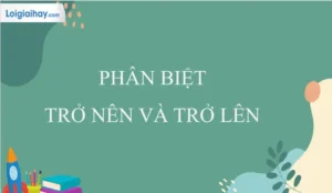 Top 10 Ứng Dụng Giúp Bạn Trở Nên Hay Trở Lên Mỗi Ngày