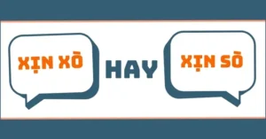 Xịn Sò Hay Xịn Xò? Đánh Giá Chi Tiết Và Hướng Dẫn Dùng Đúng