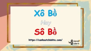 Xô Bồ Hay Sô Bồ: So Sánh Chi Tiết Để Chọn Đồ Uống Giải Nhiệt Tốt Nhất