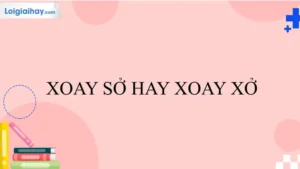 Xoay Sở Hay Xoay Xở? Phân Biệt Chi Tiết Và Cách Dùng Đúng