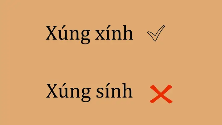 Xúng Xính Hay Súng Sính? Phân Tích Từ Đúng Và Cách Dùng
