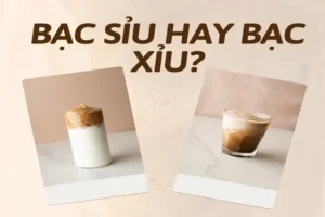 Bạc Xỉu Hay Bạc Sỉu? Phân Tích Chi Tiết Cách Viết Đúng