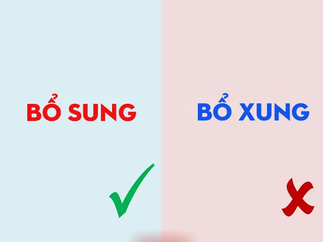 Bổ Xung Hay Bổ Sung? Phân Tích Chi Tiết Về Khái Niệm Trong Sức Khỏe & Đời Sống