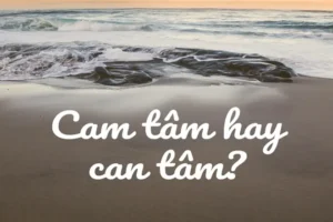 Cam Tâm Hay Can Tâm: Phân Biệt Và Ý Nghĩa Trong Đời Sống
