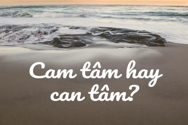 Cam Tâm Hay Can Tâm: Phân Biệt Và Ý Nghĩa Trong Đời Sống