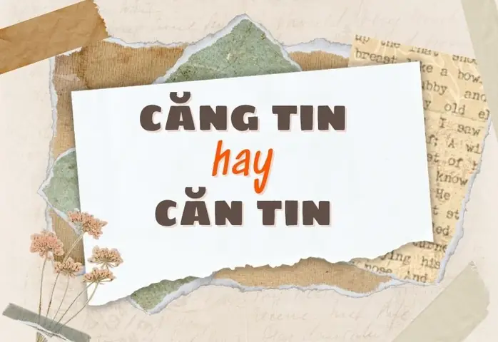 Căn Tin Là Gì? Tìm Hiểu Chi Tiết Về Khái Niệm Và Ứng Dụng Căn Tin Là Gì? Tìm Hiểu Chi Tiết Về Khái Niệm Và Ứng Dụng