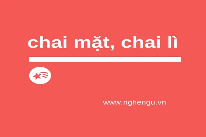Chai Mặt Hay Trai Mặt: Đánh Giá Chi Tiết 8 Sản Phẩm Dưỡng Da Phổ Biến Nhất 2026