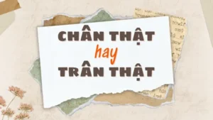 Chân Thật Hay Trân Thật: So Sánh Chi Tiết Và Ứng Dụng