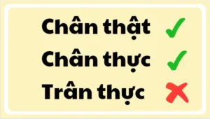 Chân Thực Hay Trân Thực: Phân Biệt Và Cách Dùng Đúng
