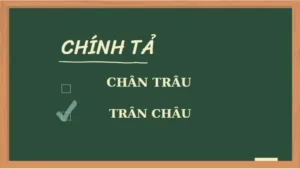 Chân Trâu Hay Trân Châu: So Sánh Chi Tiết Để Chọn Đúng Nguyên Liệu Nấu Ăn