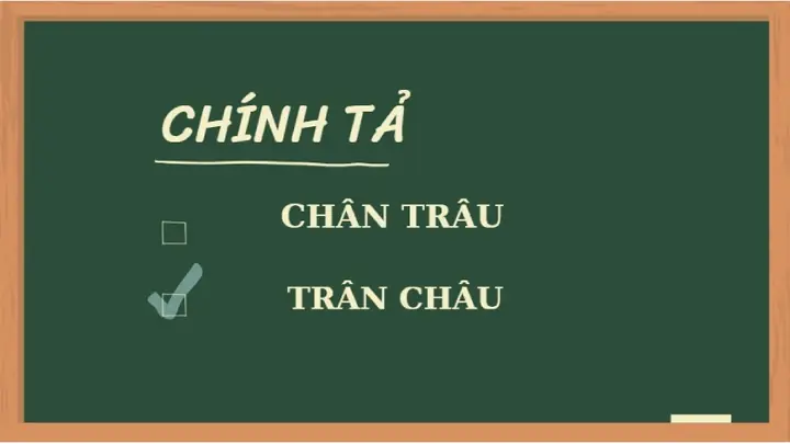 Chân Trâu Hay Trân Châu: So Sánh Chi Tiết Để Chọn Đúng Nguyên Liệu Nấu Ăn Chân Trâu Hay Trân Châu: So Sánh Chi Tiết Để Chọn Đúng Nguyên Liệu Nấu Ăn