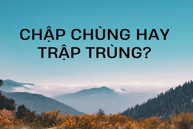 Chập Chùng Hay Trập Trùng: So Sánh Chi Tiết Để Chọn Đúng Chập Chùng Hay Trập Trùng: So Sánh Chi Tiết Để Chọn Đúng