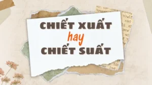 Chiết Xuất Hay Chiết Suất: Phân Biệt Và Cách Dùng Đúng