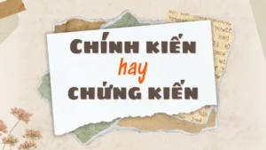 Chính Kiến Hay Chứng Kiến: Phân Biệt Chi Tiết Và Ứng Dụng Thực Tế