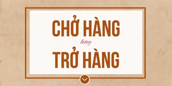 Chở Hàng Hay Trả Hàng: Sự Khác Biệt Và Ứng Dụng Thực Tế Chở Hàng Hay Trả Hàng: Sự Khác Biệt Và Ứng Dụng Thực Tế
