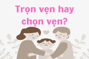 Chọn Vẹn Hay Trọn Vẹn: Sự Khác Biệt Và Cách Dùng Đúng