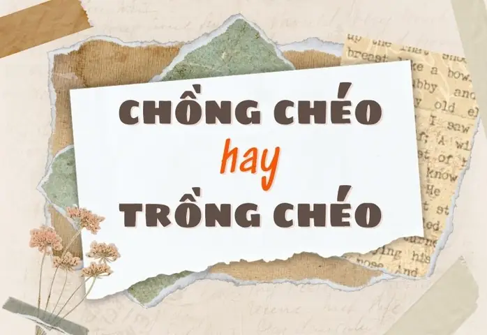 Chồng Chéo Hay Trồng Chéo: Đâu Là Cách Viết Đúng? Chồng Chéo Hay Trồng Chéo: Đâu Là Cách Viết Đúng?