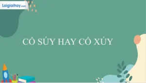 Cổ Súy Hay Cổ Xúy: Phân Tích Chi Tiết Và Cách Dùng Đúng