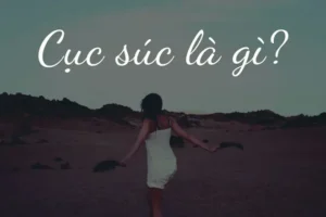 Cục Súc Hay Cục Xúc: Phân Biệt Chi Tiết Và Hướng Dẫn Sử Dụng Đúng