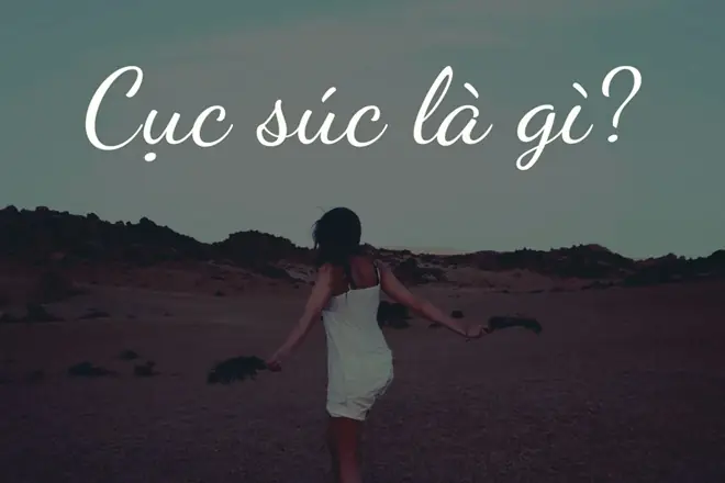 Cục Súc Hay Cục Xúc: Phân Biệt Chi Tiết Và Hướng Dẫn Sử Dụng Đúng Cục Súc Hay Cục Xúc: Phân Biệt Chi Tiết Và Hướng Dẫn Sử Dụng Đúng