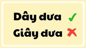 Dây Dưa Hay Giây Dưa: Cách Viết Đúng Và Ý Nghĩa