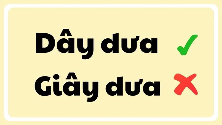 Dây Dưa Hay Giây Dưa: Cách Viết Đúng Và Ý Nghĩa Dây Dưa Hay Giây Dưa: Cách Viết Đúng Và Ý Nghĩa