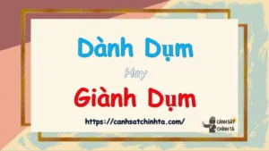 Giành Dụm Hay Dành Dụm? So Sánh Chi Tiết 2 Từ Gây Nhầm Lẫn