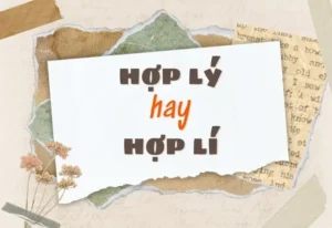 Hợp Lý Hay Hợp Lí: Phân Biệt Và Cách Dùng Đúng