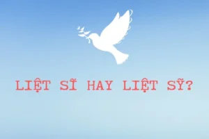 Liệt Sĩ Hay Liệt Sỹ: Phân Tích Chi Tiết Và Gợi Ý Sử Dụng Trong Văn Bản